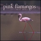 Pink Flamingos